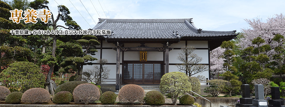 専養寺　千葉県鎌ヶ谷市にある浄土真宗大谷派の寺院墓地